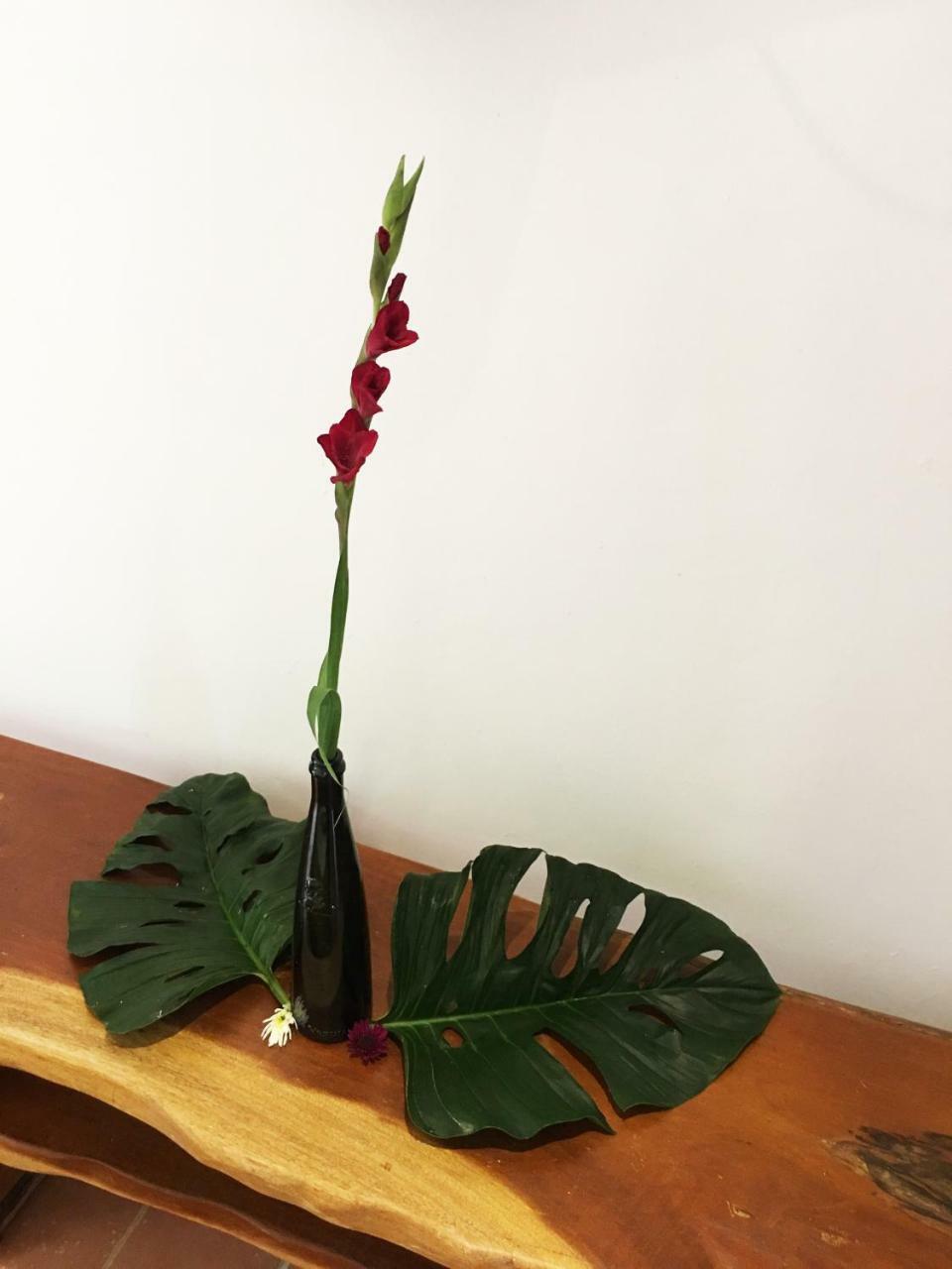 Cabrera Chalet Boutique Hotel Ngoại thất bức ảnh